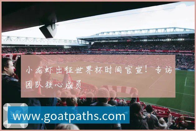 小龙虾出征世界杯时间官宣!专访团队核心成员
