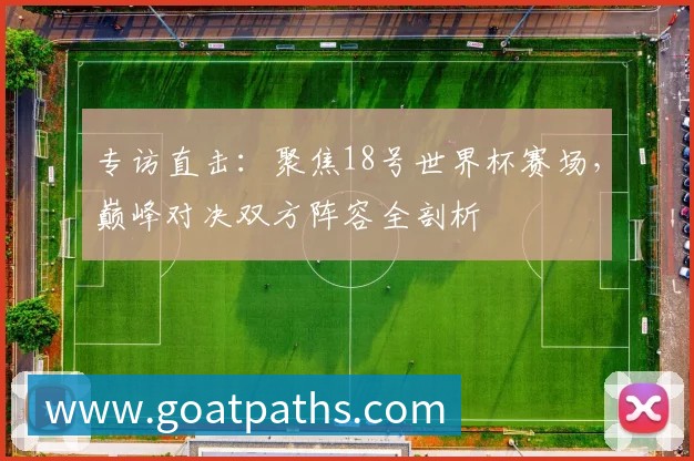专访直击：聚焦18号世界杯赛场，巅峰对决双方阵容全剖析