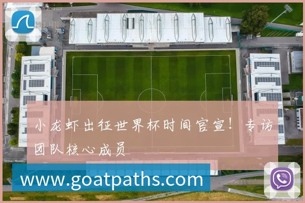 小龙虾出征世界杯时间官宣!专访团队核心成员